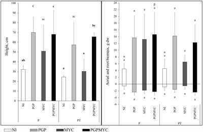 Soil amendment and rhizobacterial inoculation improved Cu phytostabilization, plant growth and microbial activity in a bench-scale experiment